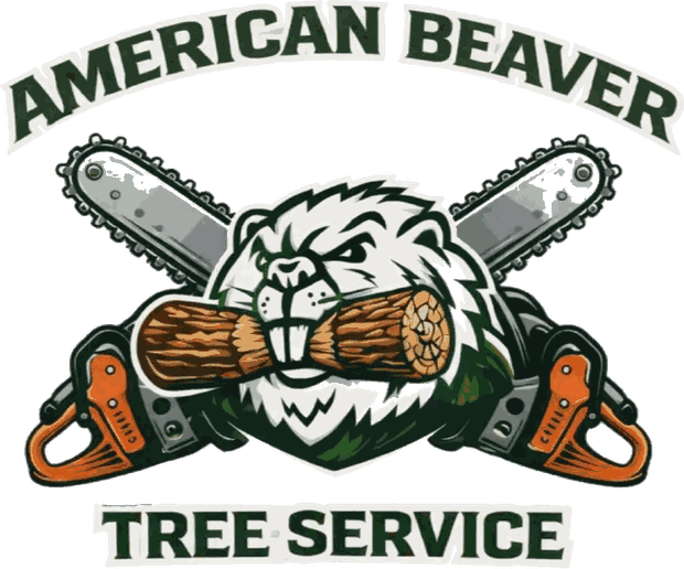 American Beaver Tree Service